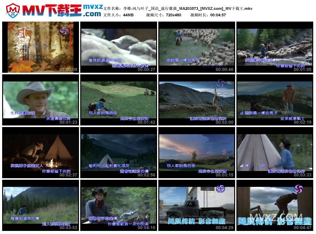 李维-风与叶子_国语_流行歌曲_MA203573